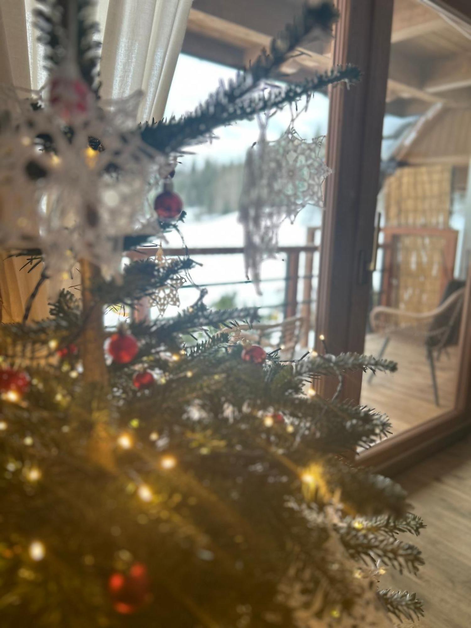 Babcia Goralka House Vendégház Bukowina Tatrzańska Kültér fotó